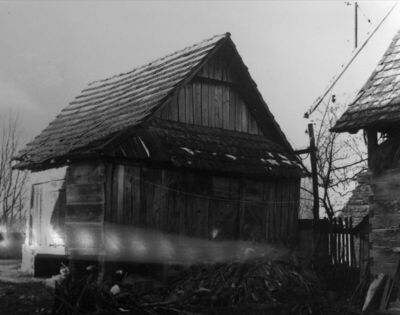 Krapje (Jasenovac) - Kuća br. 50, vlasnica Jaga Krčelić, dvo