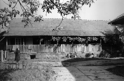 Kutinsko Selo (Kutina) - Stambena prizemnica, vlasnica Ljuba