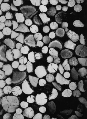 Letovanić (Lekenik) - Drvo za ogrjev ispred trijema kuće kbr