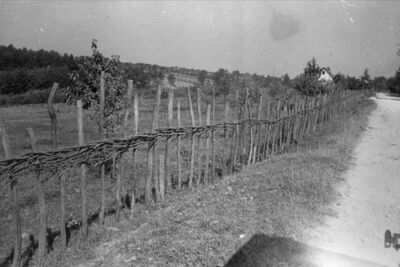 Petrinjci (Sunja) - Karakteristično opleten plot