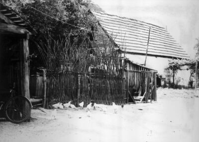 Gradusa Posavska (Sunja) - Ograda od vrbovog šiblja na dvori