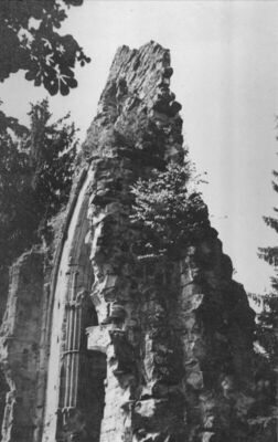 Topusko - Ruševine cistercitske opatije - Gornji dio portala
