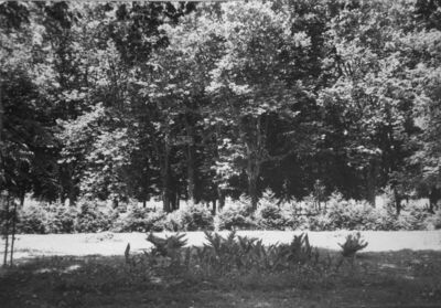 Glina - Park kao sastavni dio gl. gradskog trga