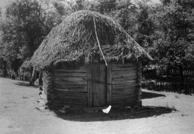 Zut (Dvor na Uni) - Svinjac u vlasništvu Rade Trivanovića, k