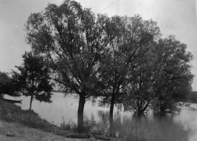 Drenov Bok (Jasenovac) - Vodeni posavski krajolik