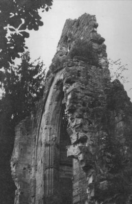 Topusko - Ruševine cistercitske opatije - Gornji dio portala