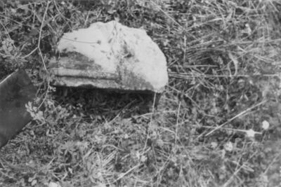 Hrastovica (Petrinja) - Ruševine gotičke kapele Sv. Duha, de