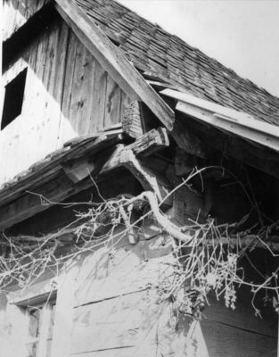 Krapje (Jasenovac) - Kuća br. 48, vlasnik Ivan Radan, jugoza