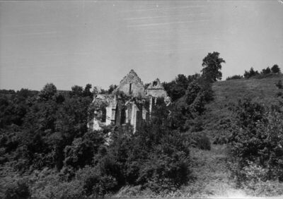 Zrin (Dvor na Uni) - Ruševine gotičke crkve sv. Marije Magda