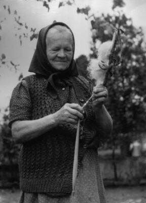 Lovska (Novska) - Žena prede vunu, kbr. 10.