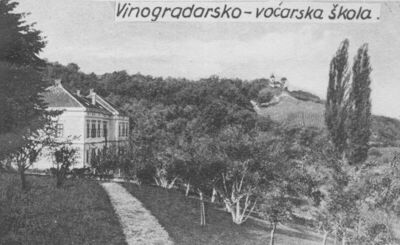 Petrinja - Vinogradarsko-voćarska škola