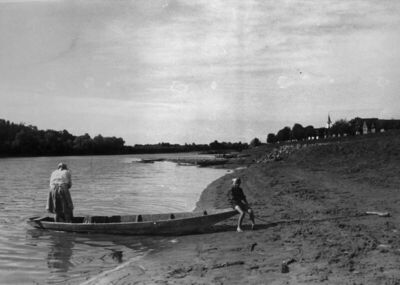 Krapje (Jasenovac) - Situacija sela na Savi s nizom drvenih 