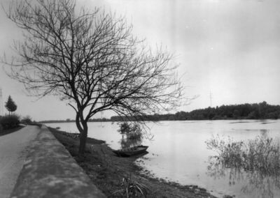 Drenov Bok (Jasenovac) - Vodeni posavski krajolik