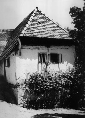 Zut (Dvor na Uni) - Kuća Rade Drače, kbr. 17