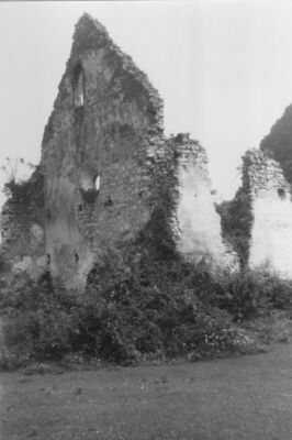 Hrastovica (Petrinja) - Ruševine gotičke kapele Sv. Duha, va