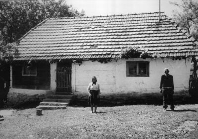 Zut (Dvor na Uni) - Kuća II Stevana Rakosa