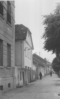 Sisak - Brvnara u Petrinjskoj ulici kbr. 24; omazana mortom 