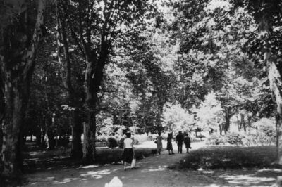 Glina - Park kao sastavni dio gl. gradskog trga
