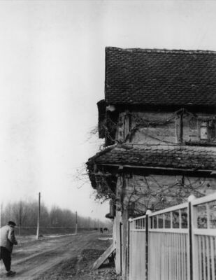Krapje (Jasenovac) - Kuća br. 32, vlasnica Barica Junaci, za