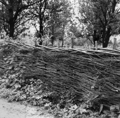 Žreme (Sunja) - Ograda od prepletenog vrbovog pruća kao razd