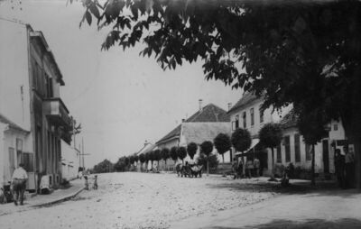 Popovača - Potez ulice; foto Tušek, Popovača; razglednica po