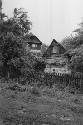 Hrastovica (Petrinja) - Pogled na staru jednokatnu drvenu ku