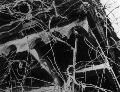 Krapje (Jasenovac) - Kuća br. 32, vlasnica Barica Junaci, de