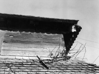 Krapje (Jasenovac) - Kuća br. 9, vlasnici Kata i Ivo Junaci,