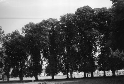 Topolovac (Sisak) - Kompleks poljoprivrednog dobra Topolovac