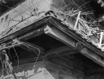 Krapje (Jasenovac) - Kuća br. 9, vlasnici Kata i Ivo Junaci,