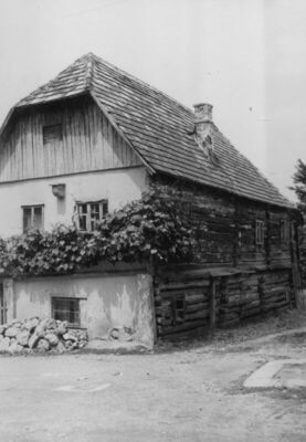 Petrinja - Brvnara u dvorištu Strossmayerovog trga kbr. 1, p