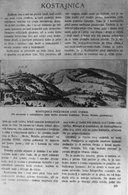 Hrvatska Kostajnica - Szabo: Kostajnica, „Suvremenik“ I