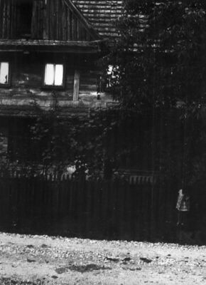 Gradusa Posavska (Sunja) - Ulično pročelje kuće kbr. 27 (80)