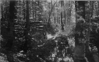 Kutina - Gradište