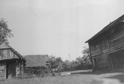 Taborište (Petrinja) - Kuća br. 75 - ambijent dvorišta s gos