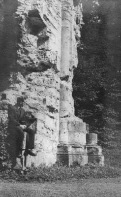 Topusko - Ruševine cistercitske opatije - Detalj: donji dio 