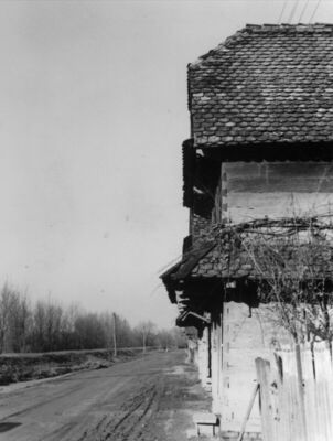 Krapje (Jasenovac) - Ulični potez prema sjeveru, u prvom pla