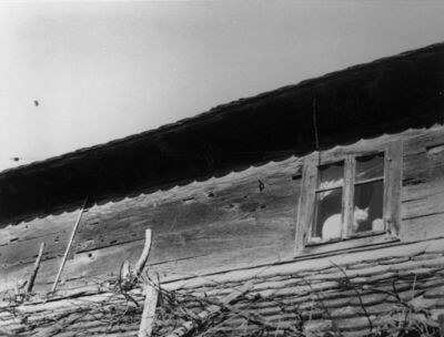 Krapje (Jasenovac) - Kuća br. 9, vlasnici Kata i Ivo Junaci,