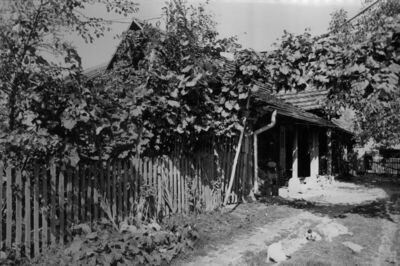 Potok (Popovača) - Drvena prizemnica srasla s okolnom vegeta