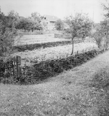 Gušće (Sisak) - Ograda od prepletene ljeskovine na okućnici 
