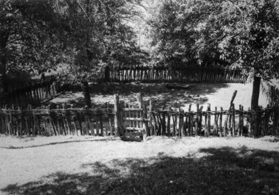 Zut (Dvor na Uni) - „Kotarica” u vlasništvu Rade Trivanovića