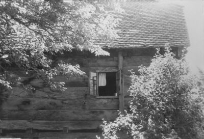 Gora (Petrinja) - Dio najstarije brvnare, kbr. 97 (vl. Stevo