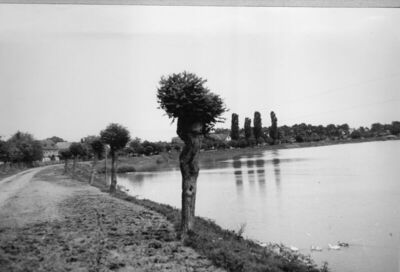 Mužilovčica (Sisak) - Pogled na selo uz Tišinu, okuku rijeke