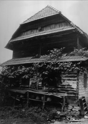 Gornji Žirovac (Dvor na Uni) - Kuća Vasilija Suzića, pogled 