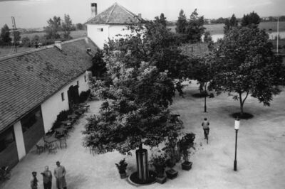Sisak - Stari grad - Pogled na bivše gospodarske zgrade (sad