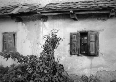 Donji Javoranj (Dvor na Uni) - Kuća Janje Žunić, detalj priz