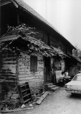 Gornji Žirovac (Dvor na Uni) - Kuća Vasilija Suzića, pogled 