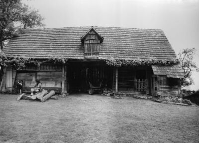 Viduševac (Glina) - Štala sa štajerom - sjenikom na tavanu k