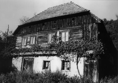 Oraovica (Dvor na Uni) - Kuća Zorke Vranišević s oširokim za