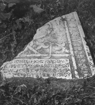 Borovac (Novska) - Ulomak nadgrobne ploče s natpisom i veget